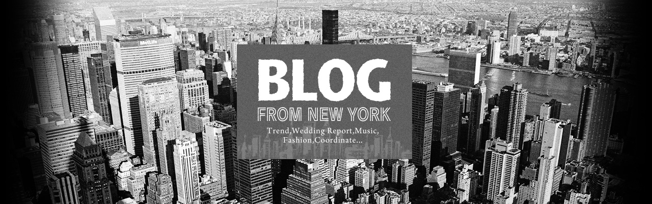 BLOG FROM NEW YORK